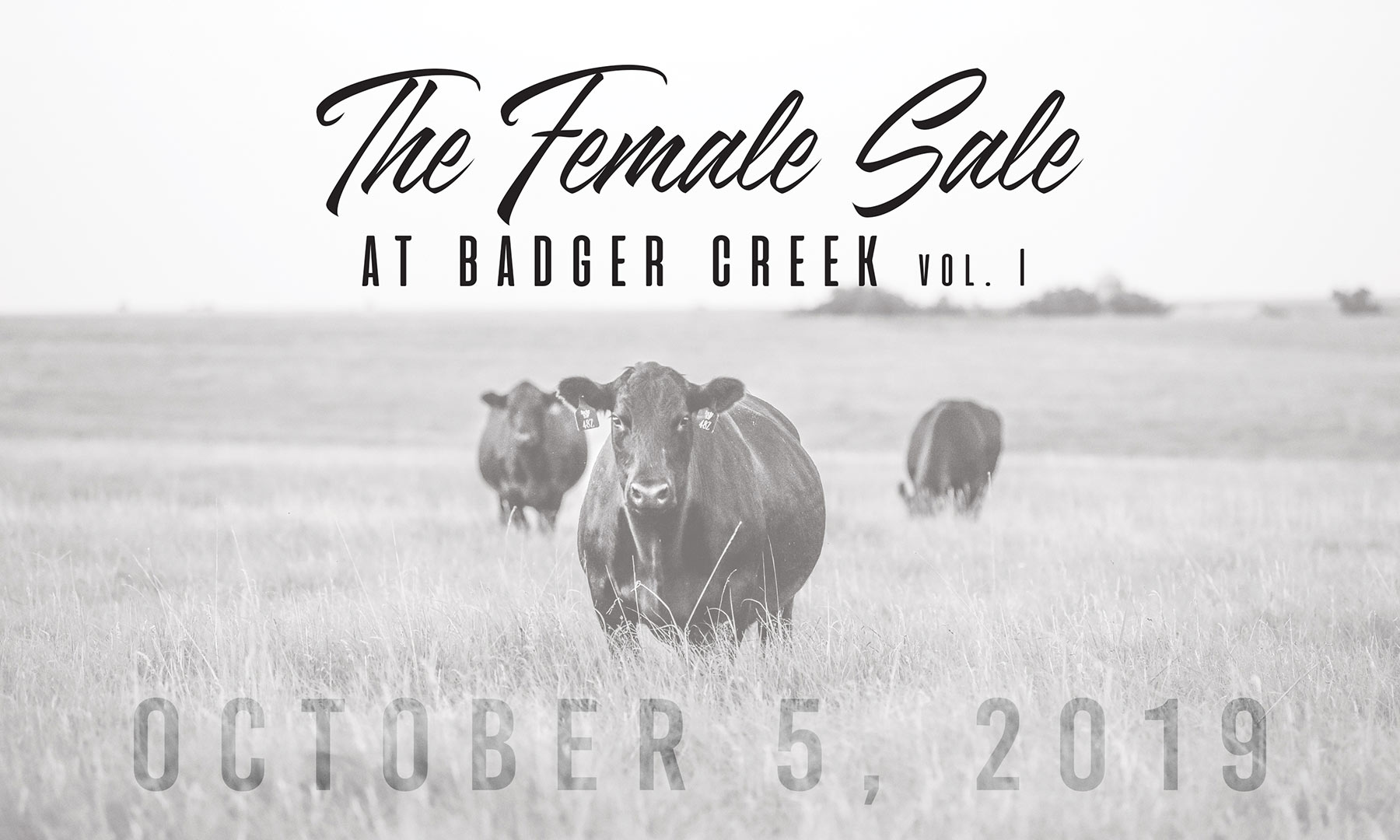 The Female Sale at Badger Creek Vol I, October 5, 2019